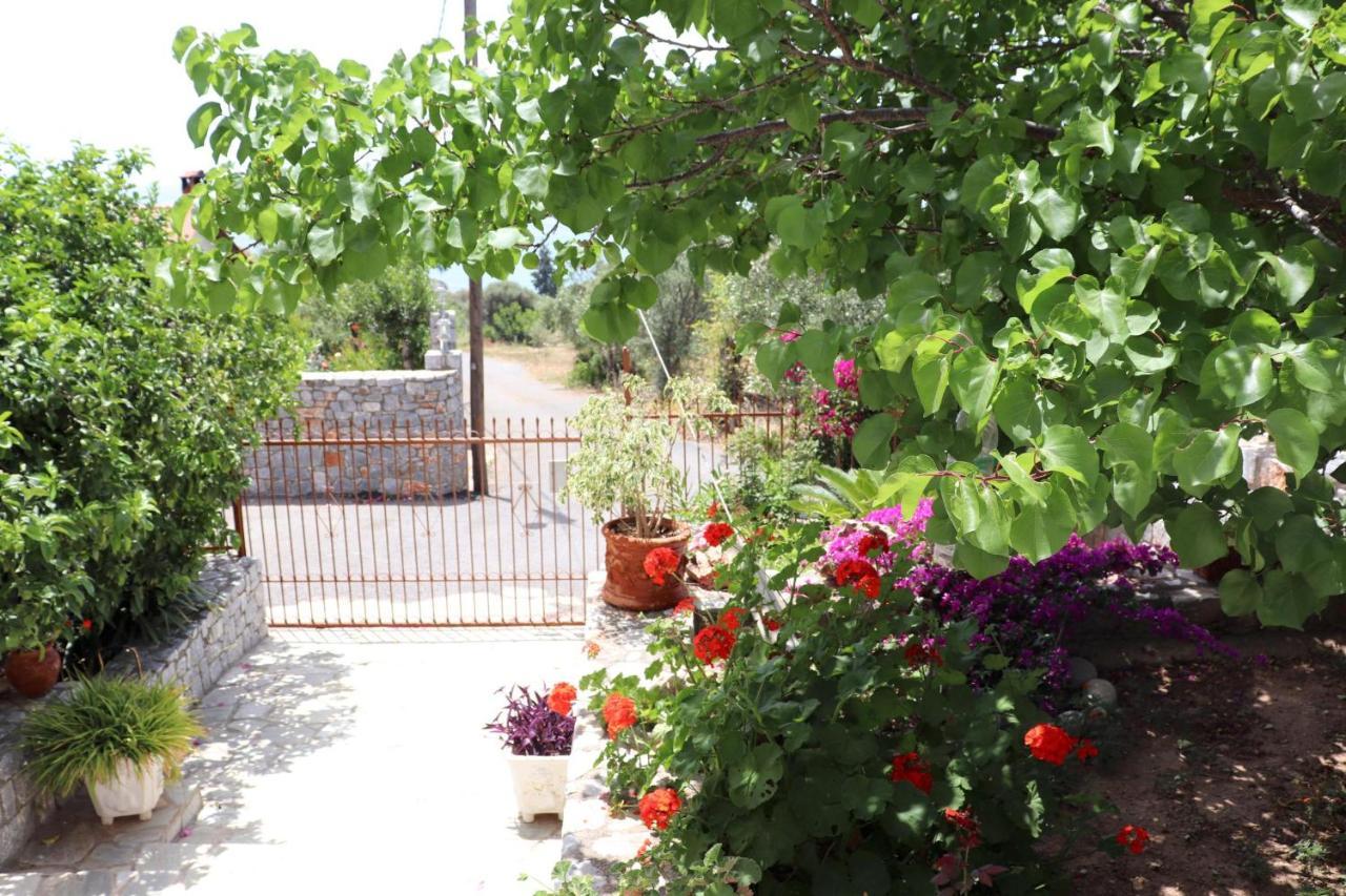 Amanda Villa Selinitsa Exterior foto